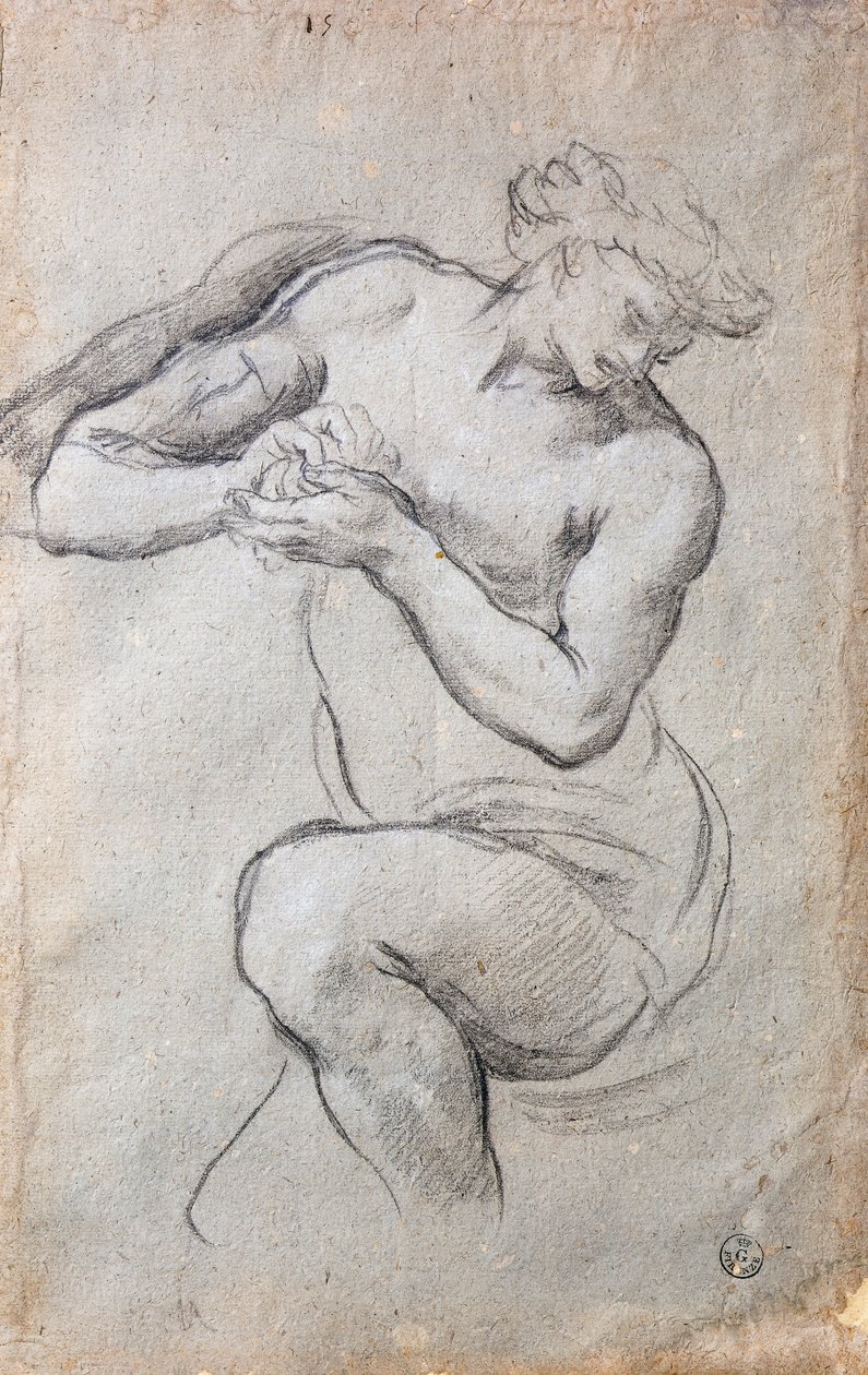 Male figure, Study for Bacchus in the Age of Silver fresco بواسطة بيترو دا كورتونا