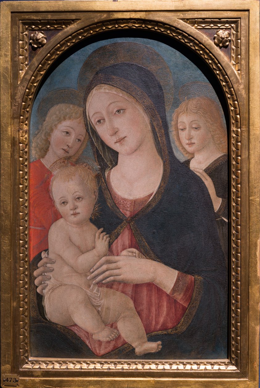مادونا والطفل مع ملاكين ، حوالي عام 1480 (زيت على لوح) بواسطة Pietro di Francesco degli Orioli