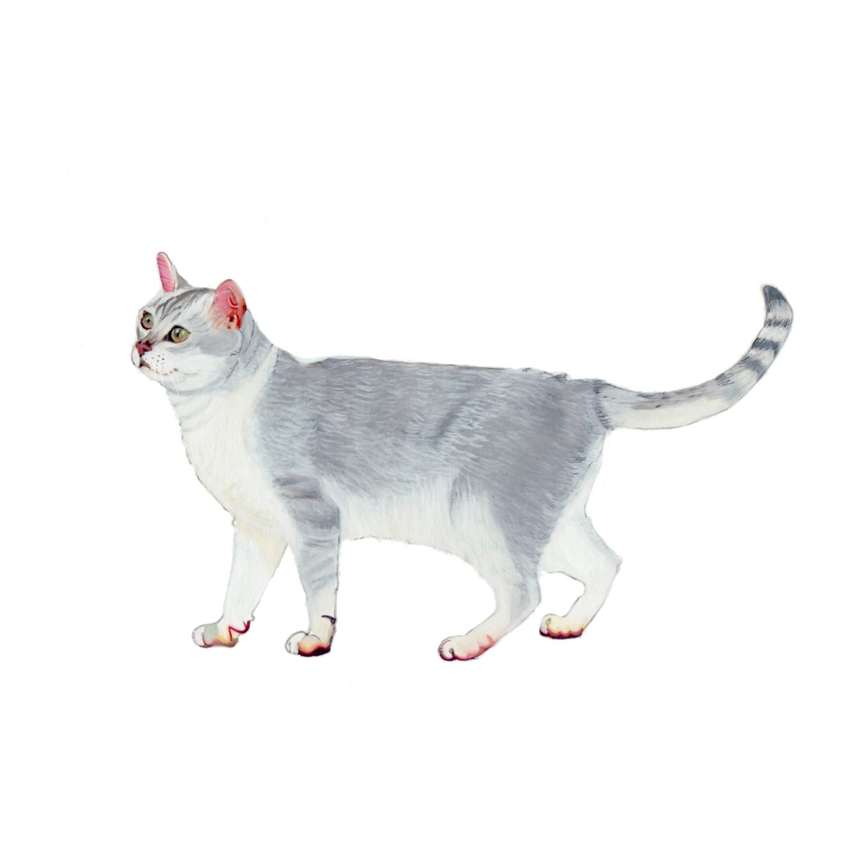  بواسطة 