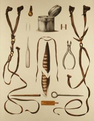 معدات الصيد بالصقور ، من "Traite de Fauconnerie" بواسطة H. Schlegel و AH Verster de Wulverhorst بواسطة بورتمان وفان وو