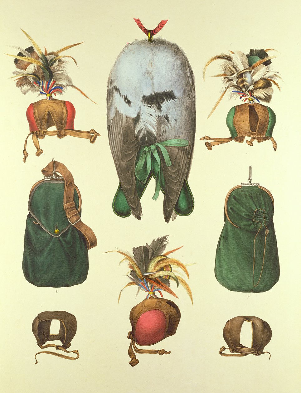 معدات للصقارة ، من "Traite de Fauconnerie" بقلم H. Schlegel و AH Verster de Wulverhorst ، 1844-53 بواسطة بورتمان وفان وو