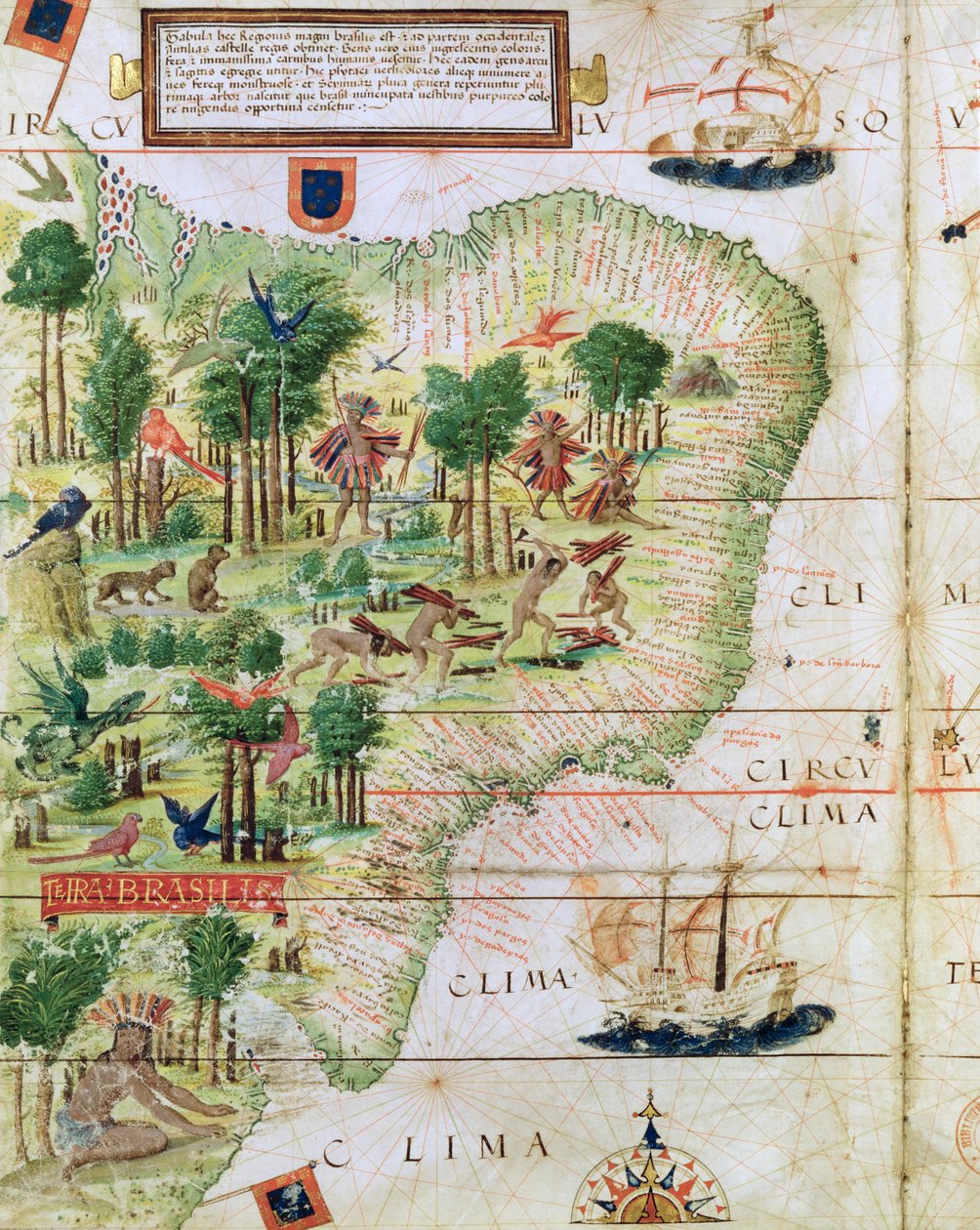 البرازيل من "أطلس ميلر" بقلم بيدرو راينل ، c.1519 (تفاصيل 75615) بواسطة المدرسة البرتغالية