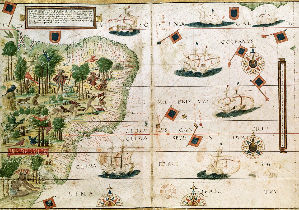 البرازيل من "أطلس ميلر" بقلم بيدرو رينيل ، c.1519 (انظر 199955 لمزيد من التفاصيل) بواسطة المدرسة البرتغالية