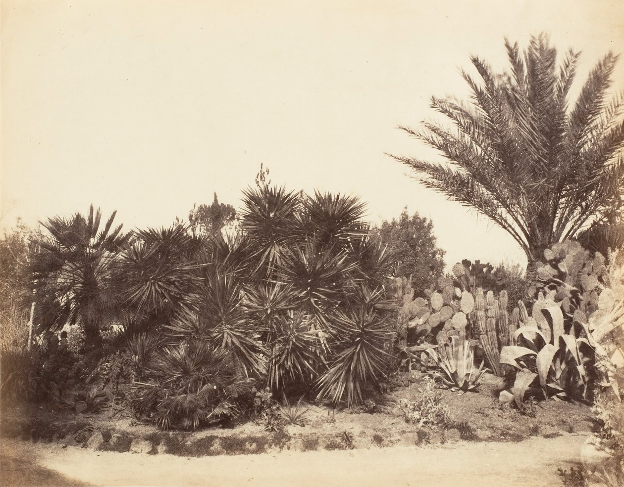 حديقة Pincian ، روما ، 1853-56. بواسطة ربما بواسطة جين مارثا سانت جون.
