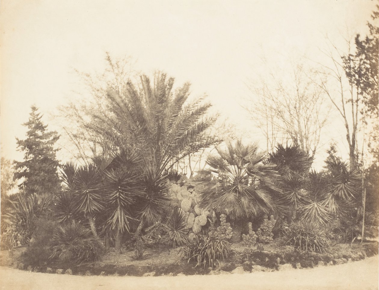 حديقة Pincian ، روما ، 1853-56. بواسطة ربما بواسطة جين مارثا سانت جون.
