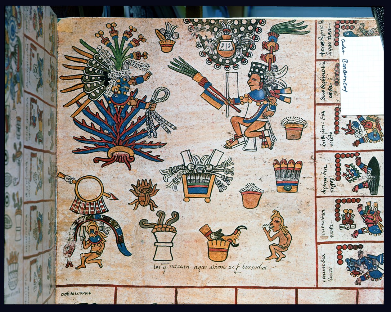 Aztec Codex Borbonicus ، "Tonalamatl" ، تفاصيل تصور الإلهة Mayahuel جالسة في نبات الصبار بواسطة قبل الكولومبي
