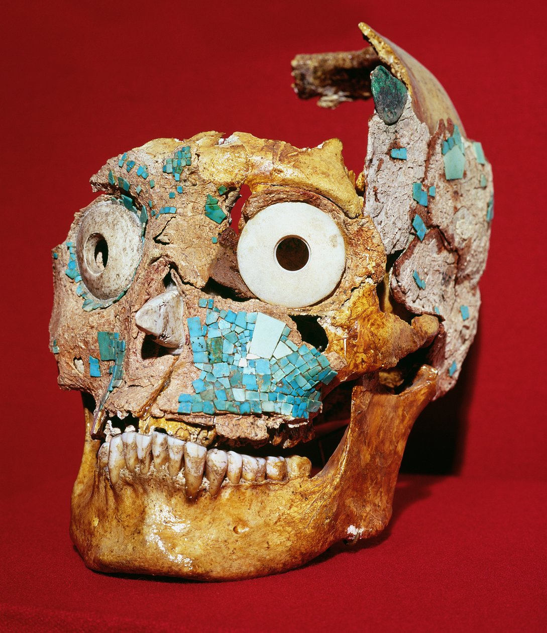 جمجمة مزينة بفسيفساء باللون الفيروزي والعاجي ، Mixtec ، من القبر 7 ، مونتي ألبان ، 1300-1450 بواسطة قبل الكولومبي