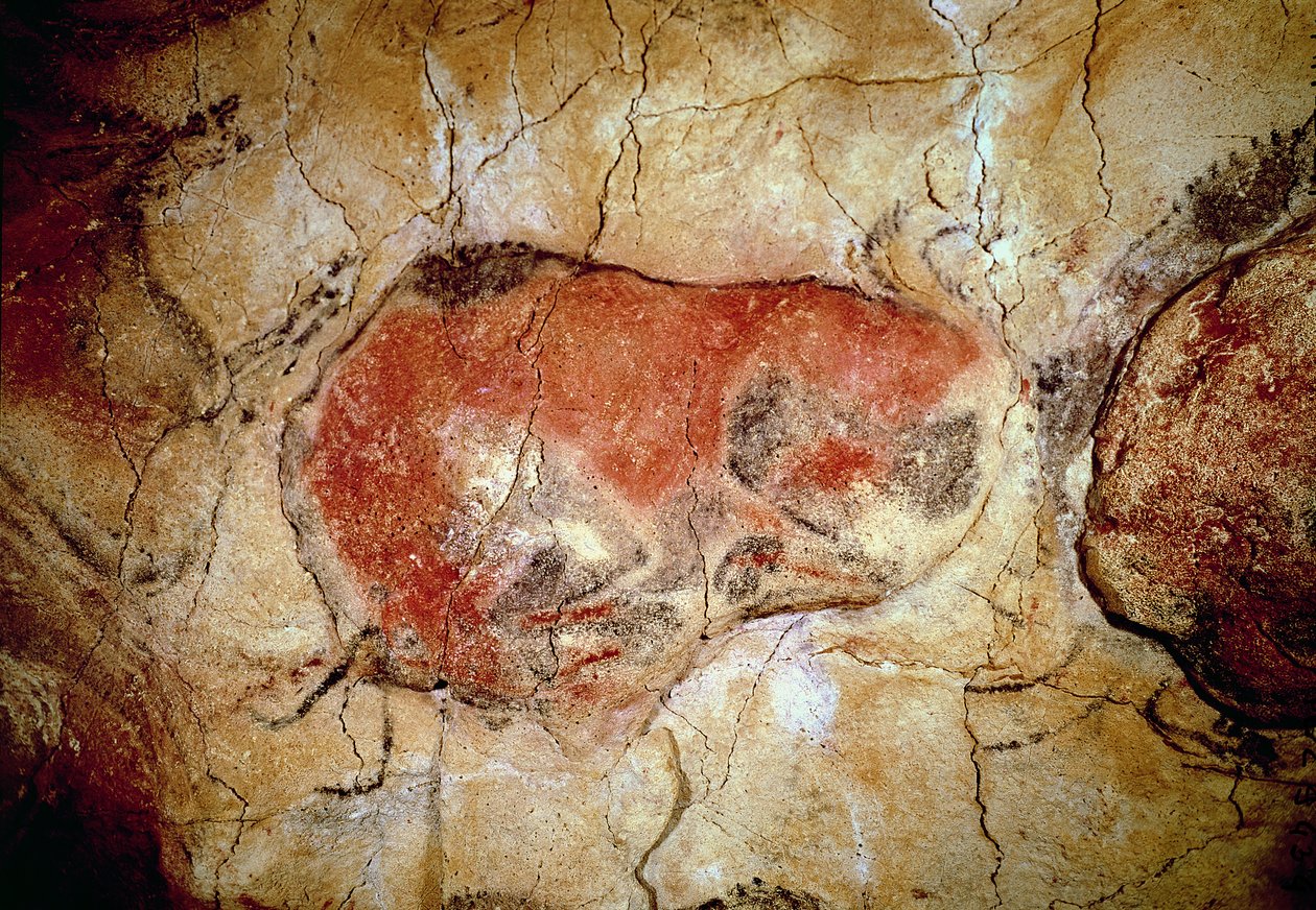 البيسون من كهوف التاميرا ، العصر الحجري القديم العلوي ، c.15000-8000 قبل الميلاد (رسم الكهف) بواسطة قبل التاريخ