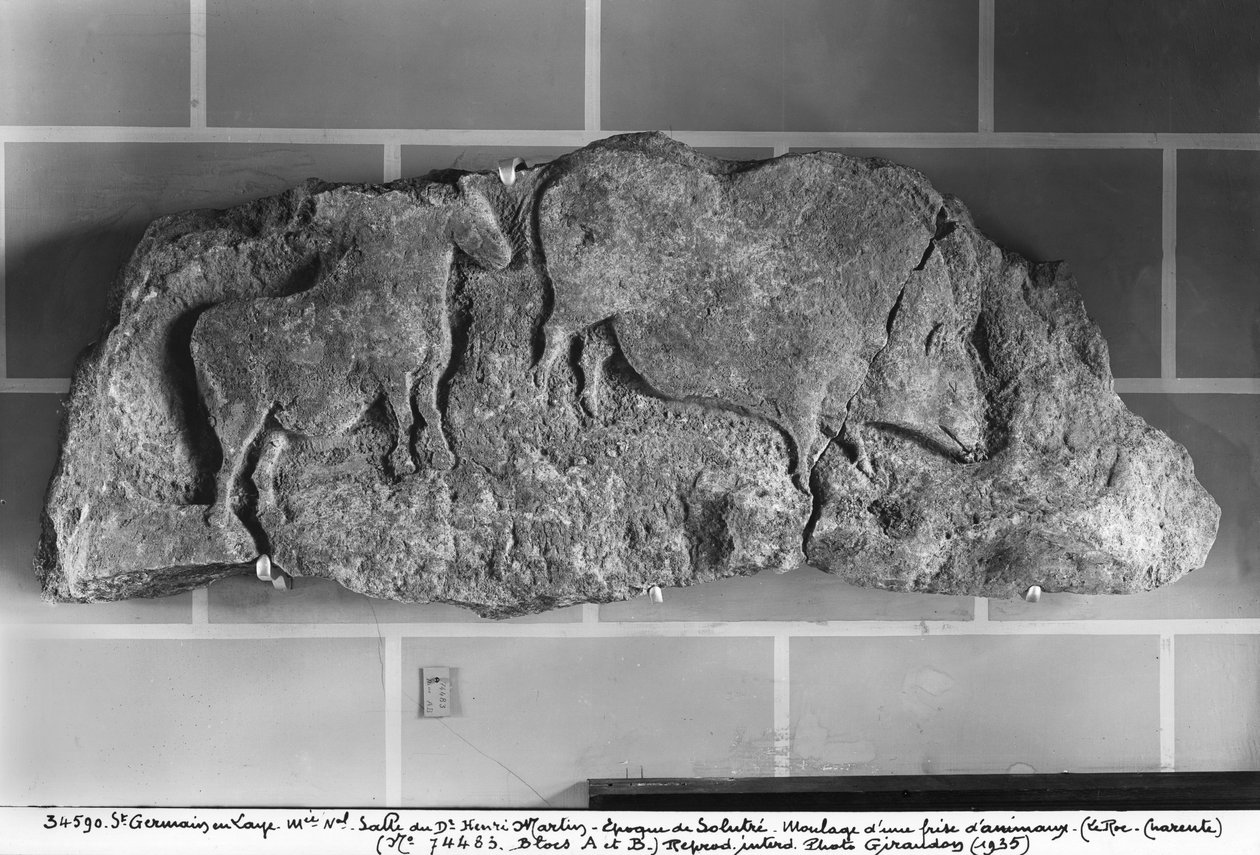 يلقي إفريز من الحيوانات من Le Roc de Sers ، Charente ، فترة سولوترين ، 20000-15000 قبل الميلاد (جص) بواسطة قبل التاريخ
