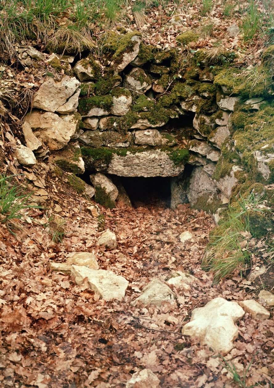 مدخل مغطى ل tumulus بواسطة قبل التاريخ