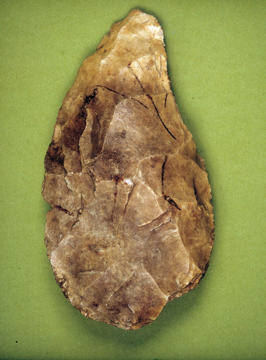 ملمع أشولياني (العصر الحجري القديم الأوسط) Museo archeologico de Milan بواسطة عصور ما قبل التاريخ