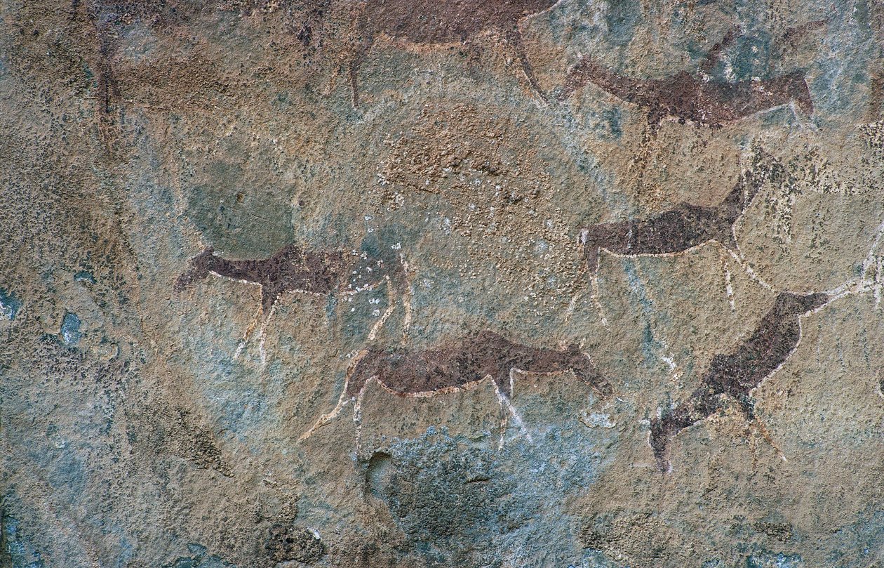 Animal figures (cave painting) بواسطة عصور ما قبل التاريخ