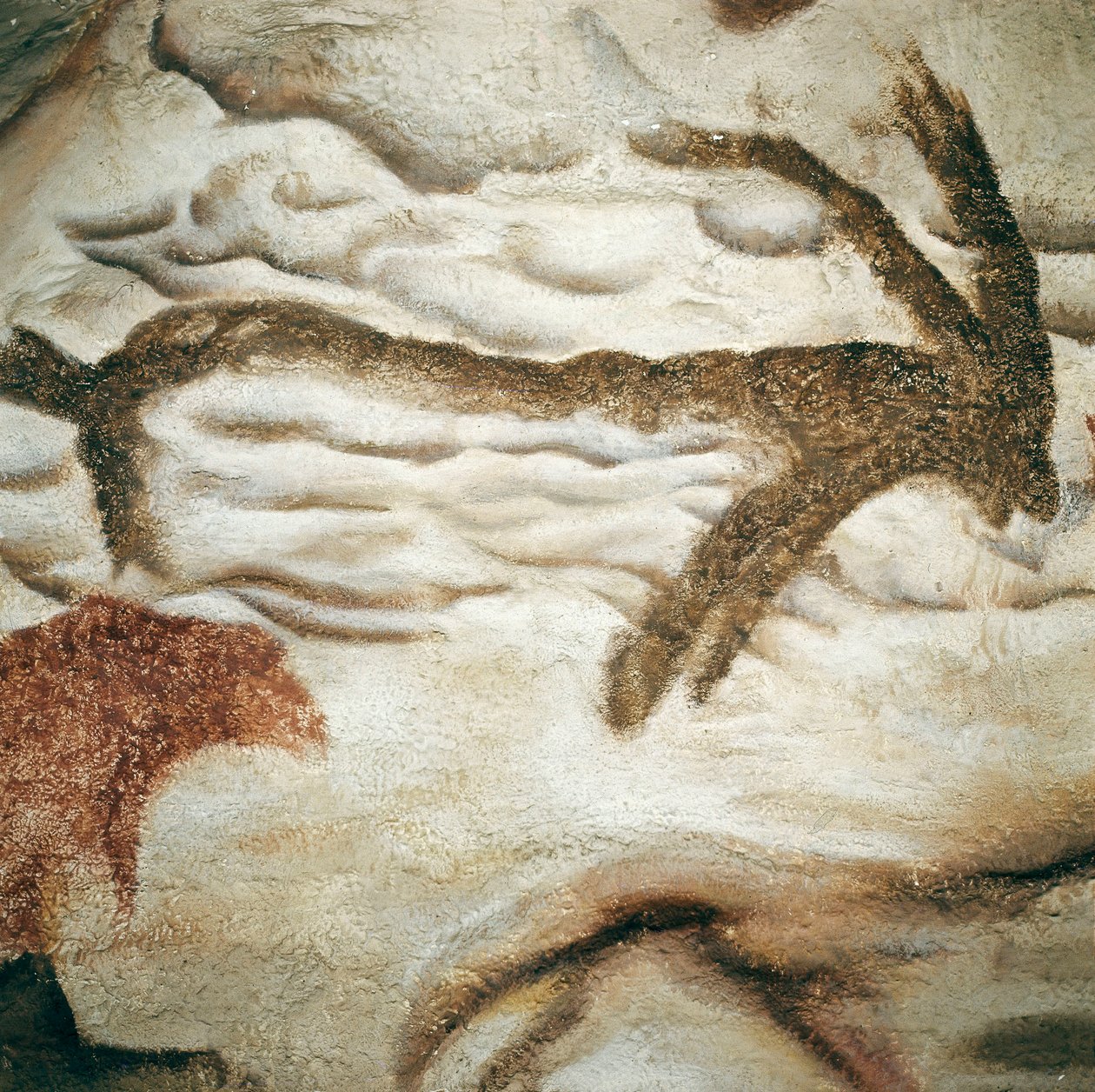 اللوحة الصخرية Cervid ، Cave de Lascaux ، دوردوني ، فرنسا ، العصر الحجري القديم الأعلى (Magdalenian) ج. قبل 13000 سنة (رسم) بواسطة عصور ما قبل التاريخ