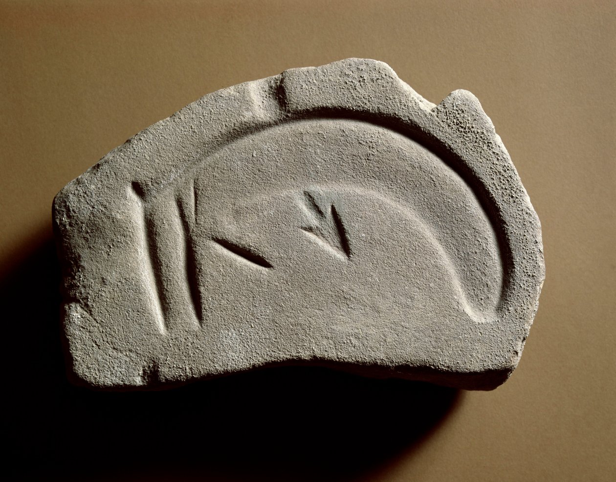 ما قبل التاريخ: ملحق لإعادة إنتاج الأسهم (العفن). العصر البرونزي. بولونيا ، Civico Museo Archeologico بواسطة عصور ما قبل التاريخ