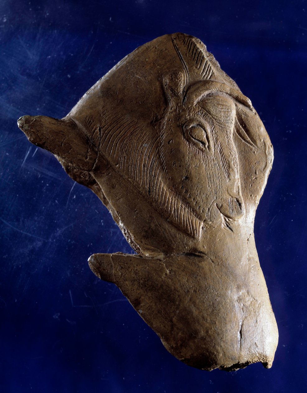 Prehistoric Art (Upper Magdalenian): “” Bison getting up”” Sculpture in reindeer wood from the shelter of the Madeleine in Dordogne. 11000 BC. Sun 0,10 m. Saint Germain en Laye, National Museum of Archeology بواسطة عصور ما قبل التاريخ