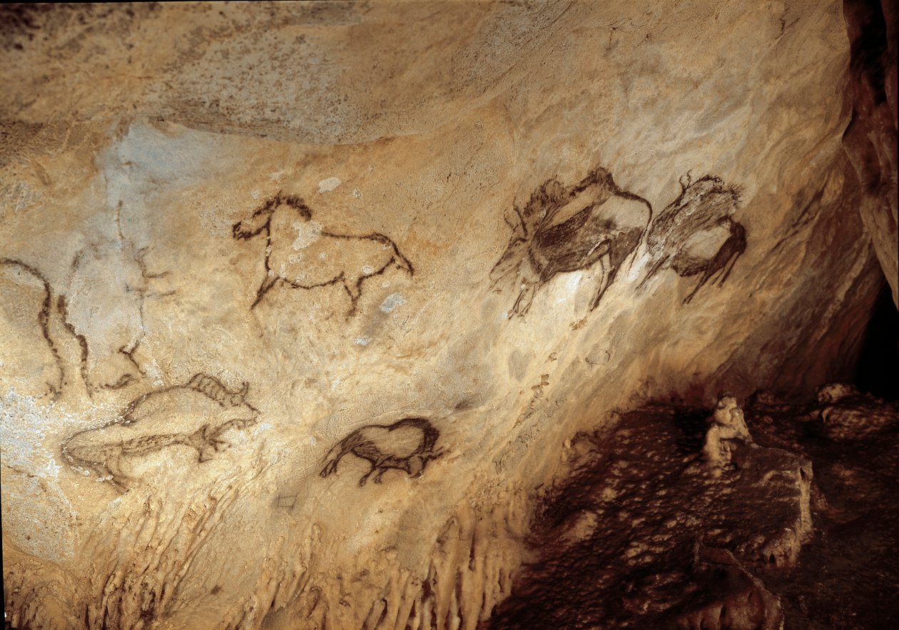 Prehistory: “” Bison and Horses”” Rock painting of the Upper Paleolithic (Magdalenian) (13000 years ago) Stone Age Santimamine Cave, Guernica, Spain - Prehistory: bison and horses - cave painting, upper paleolithic (Magdalenian) (13,000 years ago) Stone Ag بواسطة عصور ما قبل التاريخ