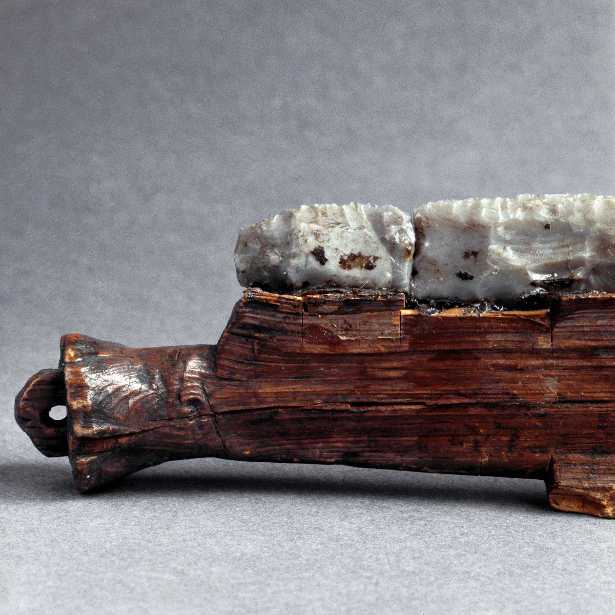 Prehistory, Polada culture: saw from the Polada Tourbiere, Lonato. Bronze Age. Rome, Museo Nazionale Preistorico Etnografico Luigi Pigorini بواسطة عصور ما قبل التاريخ