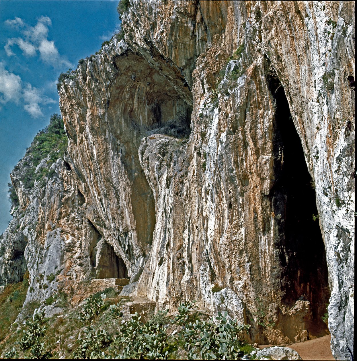Prehistory: The caves of the Balzi Rossi in the hamlet of Grimaldi in the municipality of Ventimiglia (Ventimiglia), Italy, inhabited by man in Paleolithic بواسطة عصور ما قبل التاريخ