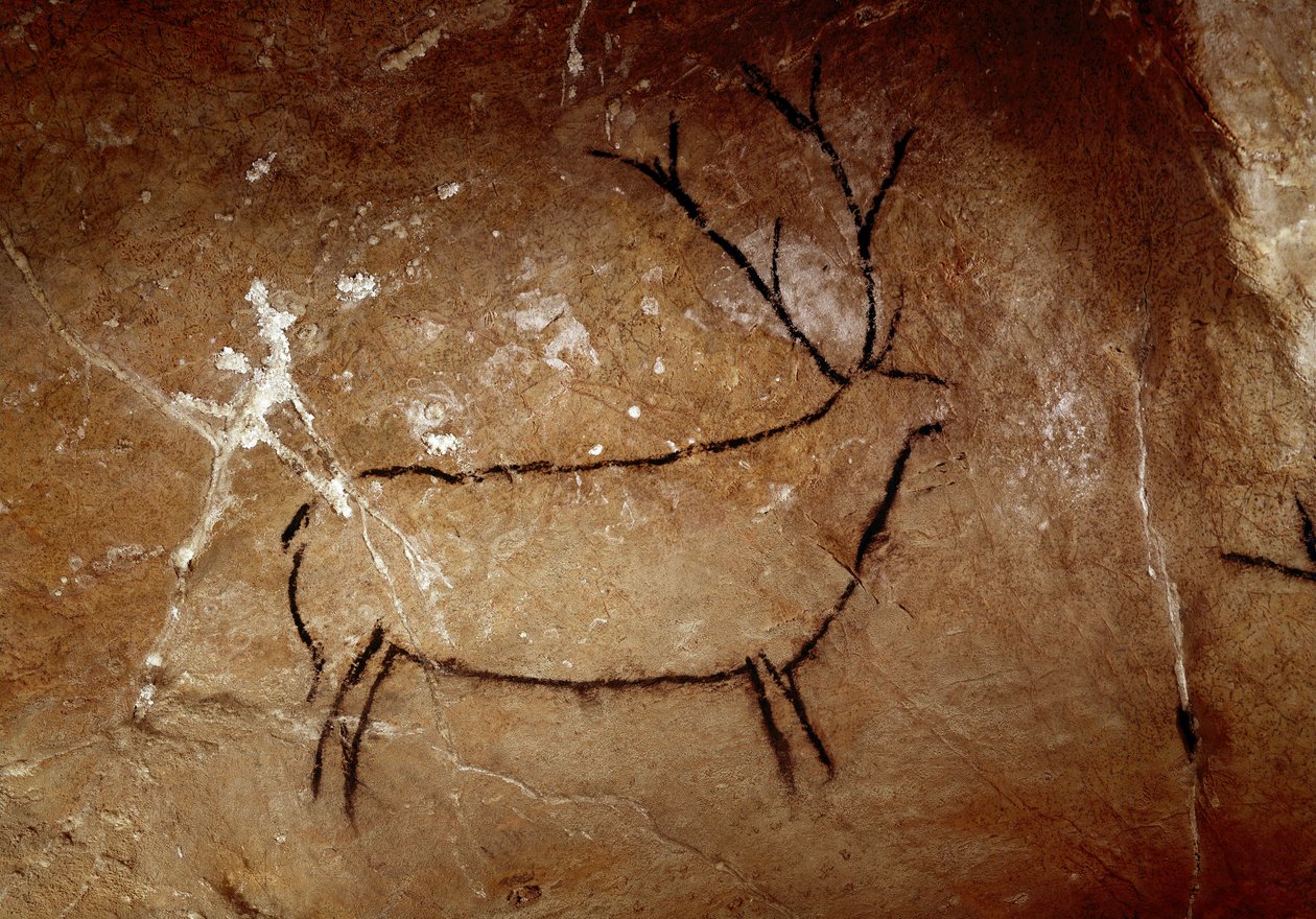 Prehistory : a deer. Upper paleolithic cave painting (Magdalenian) (16,500 and 14,000 years ago). Age of stone. Cave of Las Chimeneas, Monte Castillo, Spain بواسطة عصور ما قبل التاريخ