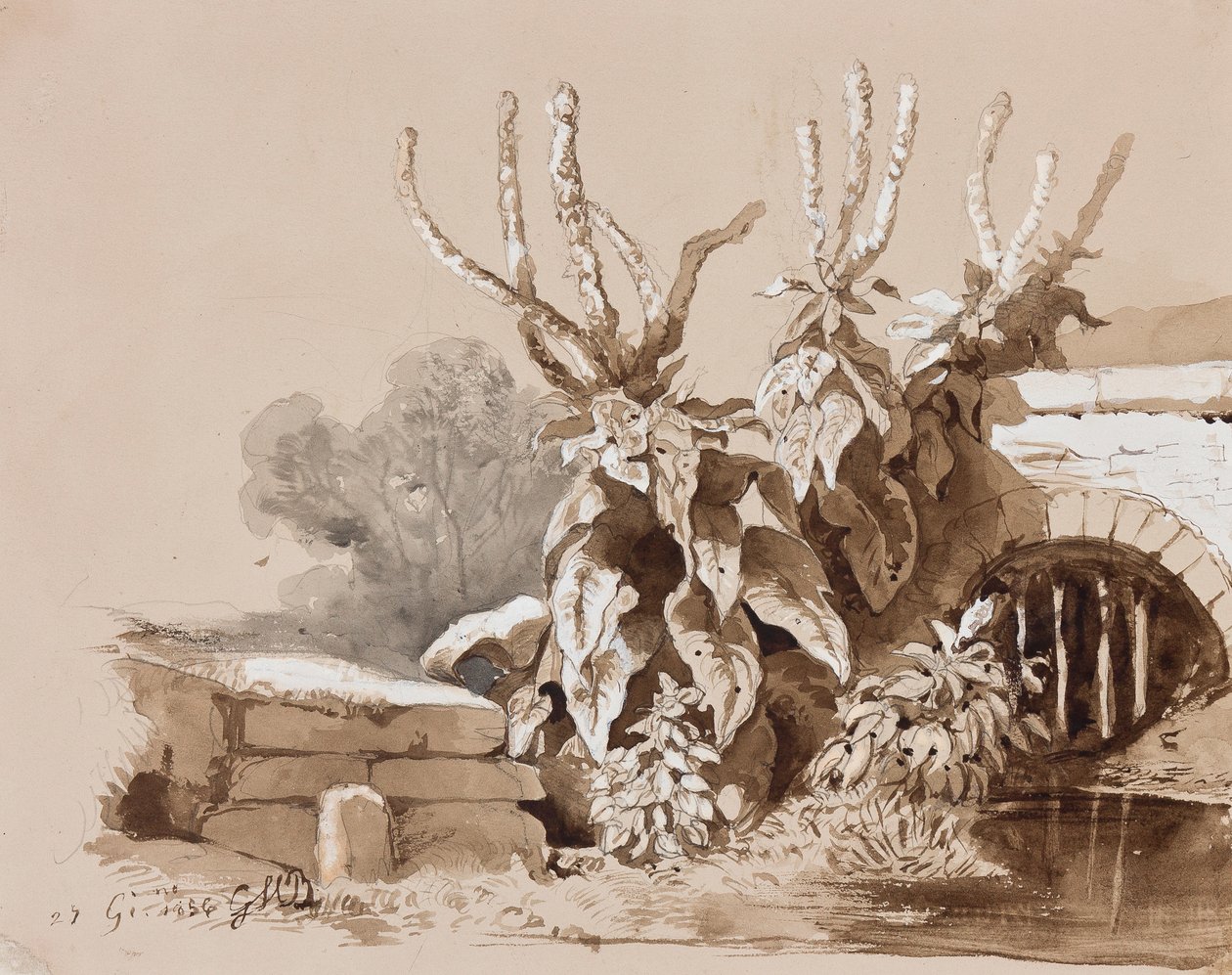 دراسة النباتات من خلال خندق ، مع إضافات من قبل مدرب ، 1856 (قلم رصاص ، يغسل بني داكن و غواش على الورق) بواسطة الأمير Gaetano Maria Federico di Borbone