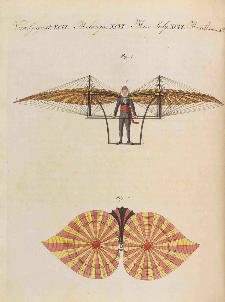 موسوعة الأطفال المصورة للكتاب المصور للأطفال بقلم فريدريش يوهان جاستن بيرتوش ، 1798-1830. بواسطة تلاميذ مدرسة الرسم الحرة الأميرية فايمار.