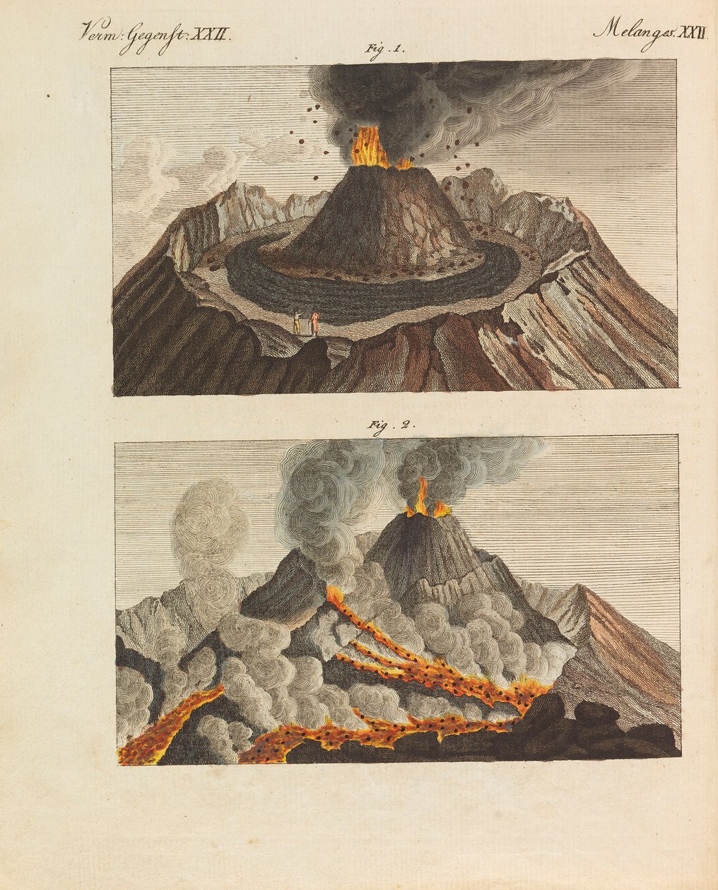 موسوعة الأطفال المصورة للكتاب المصور للأطفال بقلم فريدريش يوهان جاستن بيرتوش ، 1798-1830. بواسطة تلاميذ مدرسة الرسم الحرة الأميرية فايمار.