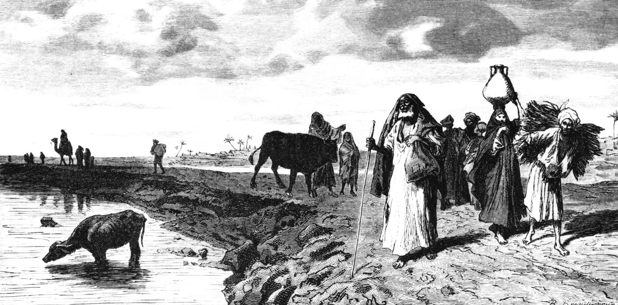 شوسي في الدلتا ، وقت الطوفان ، 1880 بواسطة ر. براندامور