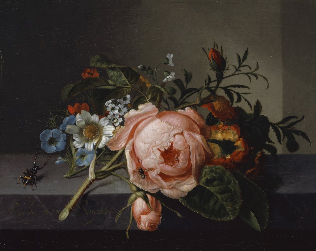 Still Life with Rose Branch، Beetle and Bee، 1741 (زيت على قماش مركب على خشب البلوط) بواسطة راشيل رويش