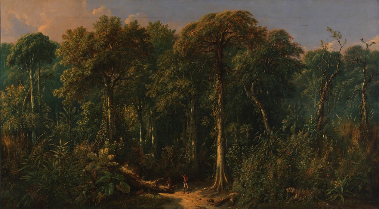 الغابة الجاوية ، كاليفورنيا. 1860. بواسطة ردين صالح