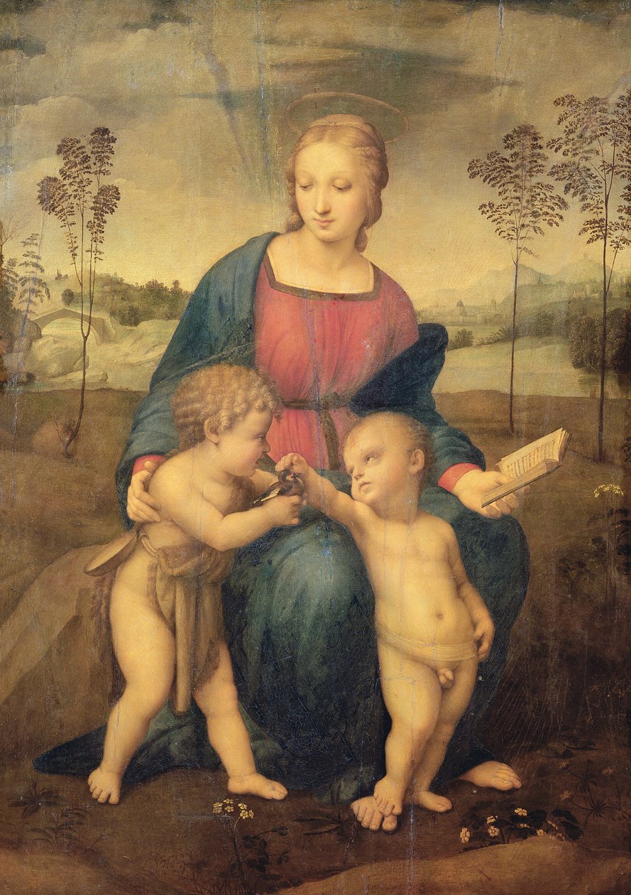 مادونا من الحسون ، c.1506 (قبل الترميم) بواسطة رافايللو سانزيو رافائيل