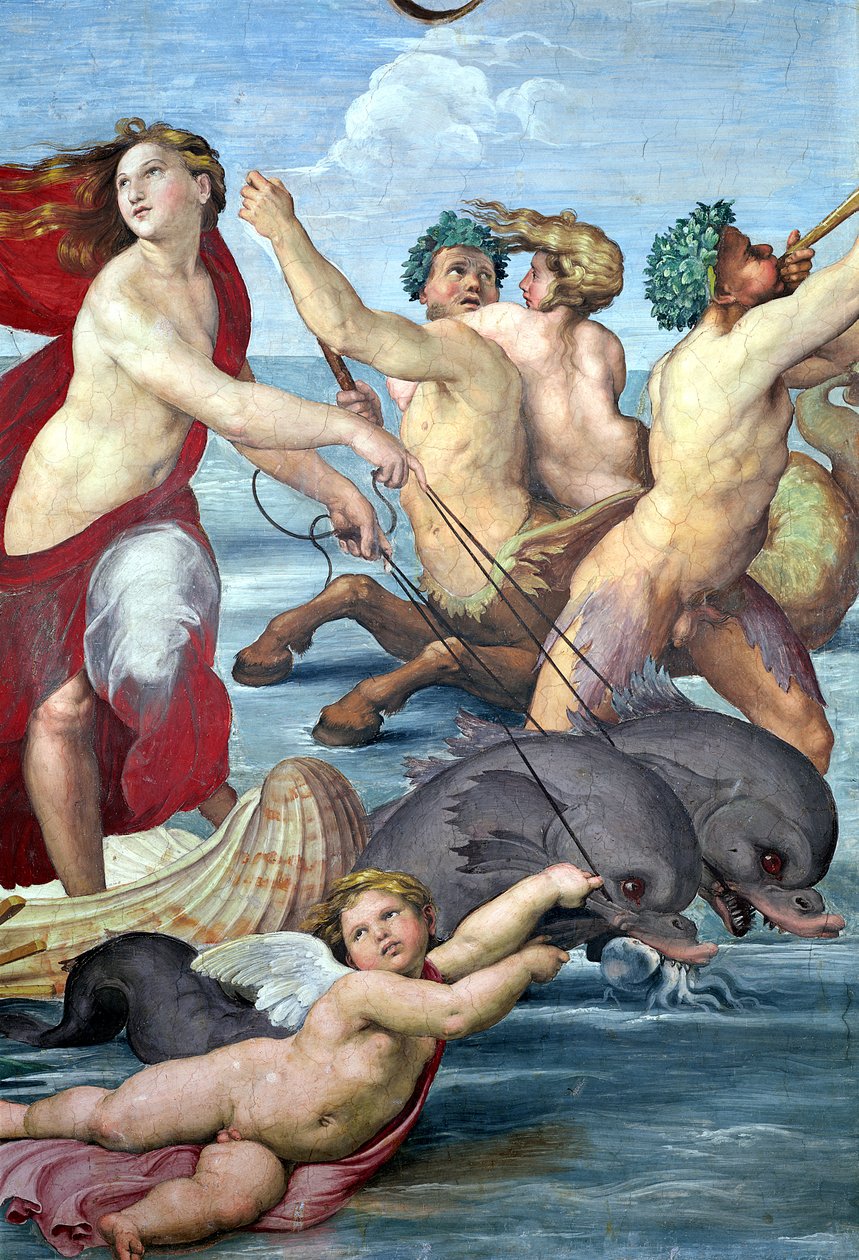 Galatea ، تفاصيل mermen والدلافين ، 1506 فريسكو تفاصيل 56473 بواسطة رافايللو سانزيو رافائيل