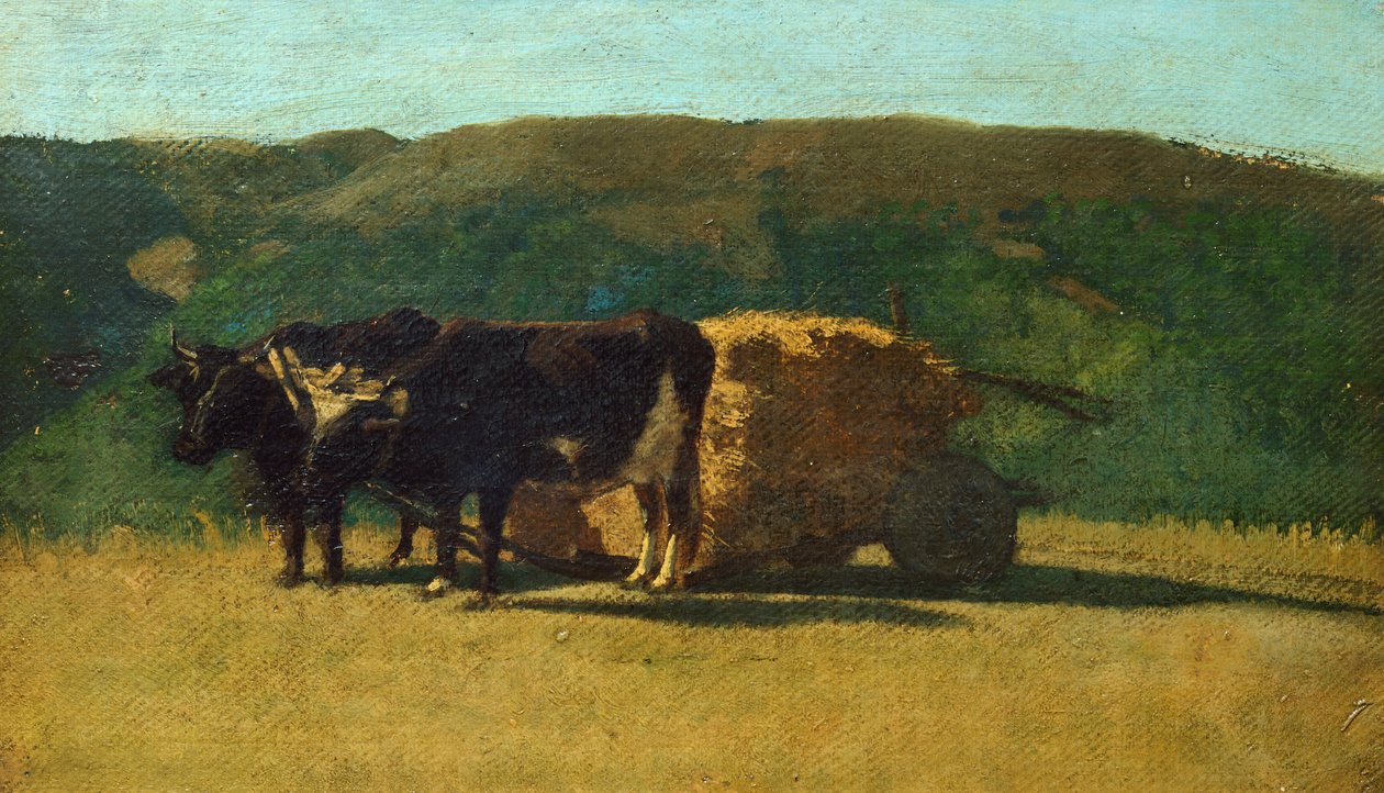 عربة سحب الثيران السوداء لرافائيلو سيرنيسي (1838-1866) بواسطة Raffaello Sernesi