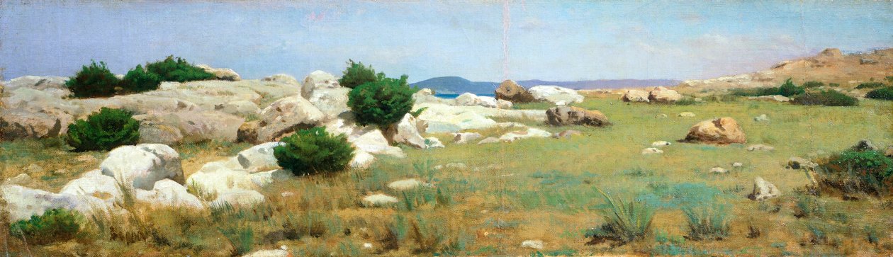 Cliff at Castiglioncello (oil on canvas) بواسطة Raffaello Sernesi