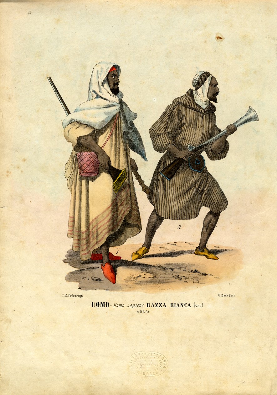 الشعب العربي ، 1863-1879 بواسطة رايموندو بيترارويا
