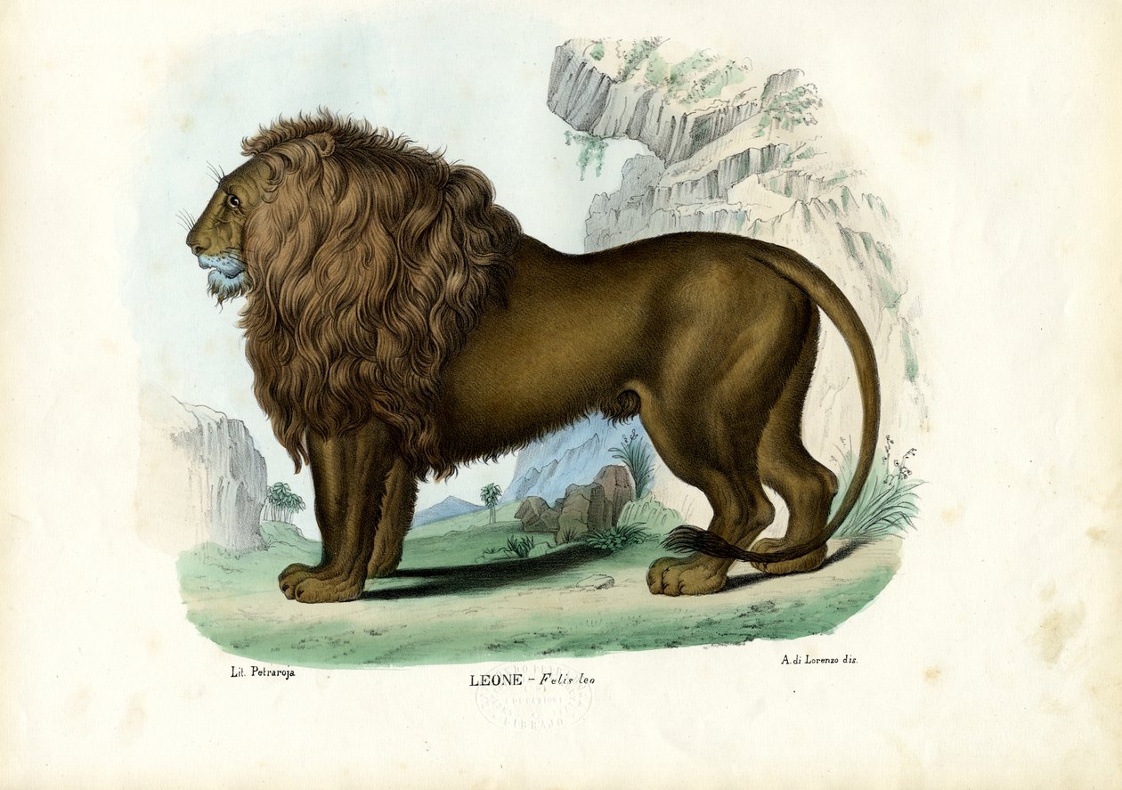 الأسد ، 1863-1879 بواسطة رايموندو بيترارويا