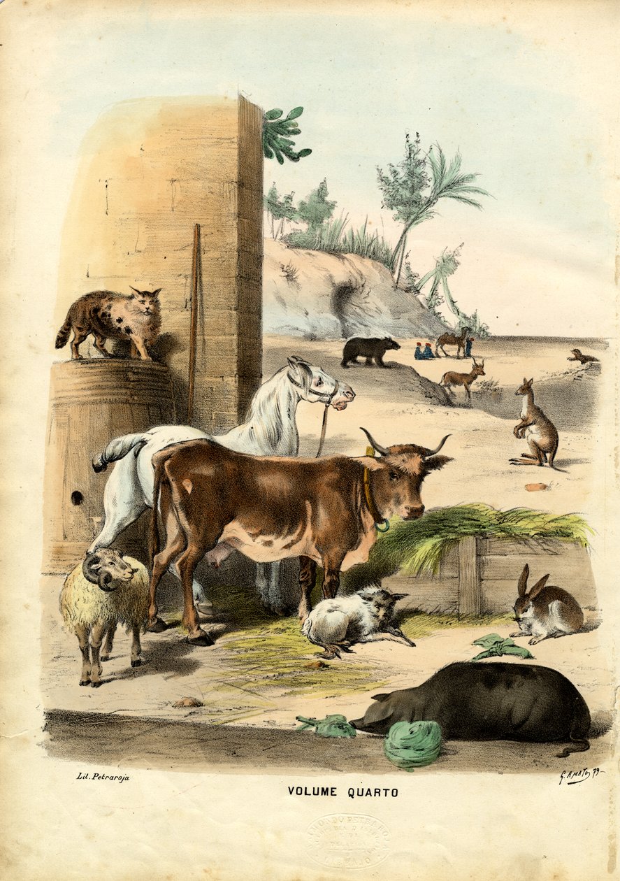 صفحة العنوان ، 1863-1879 بواسطة رايموندو بيترارويا