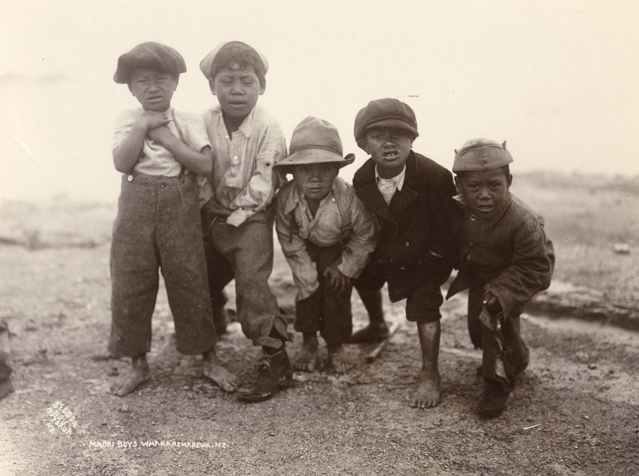Maori Boys، Whakarewarewa، c.1910 (طباعة الجيلاتين الفضي) بواسطة رالف سيلدون