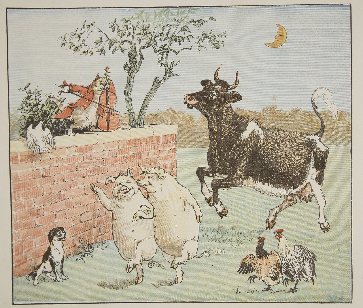 القط والكمان ، توضيح من "Hey Diddle Diddle and Bye، Baby Bunting" ، 1882 بواسطة راندولف كالديكوت