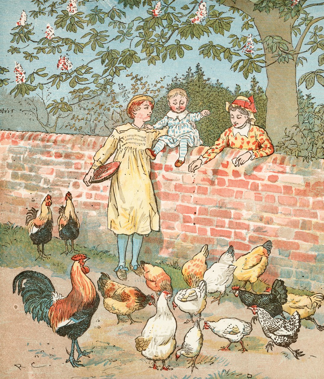  بواسطة راندولف كالديكوت