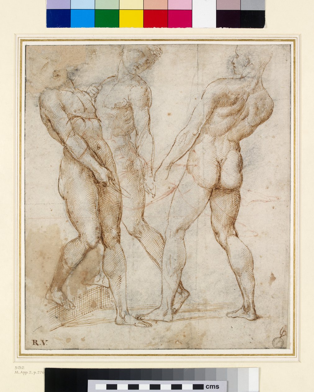 The Nude Bearers (Study for the Entombment) (قلم وحبر مع غواش على ورق) بواسطة رافايللو سانزيو رافائيل
