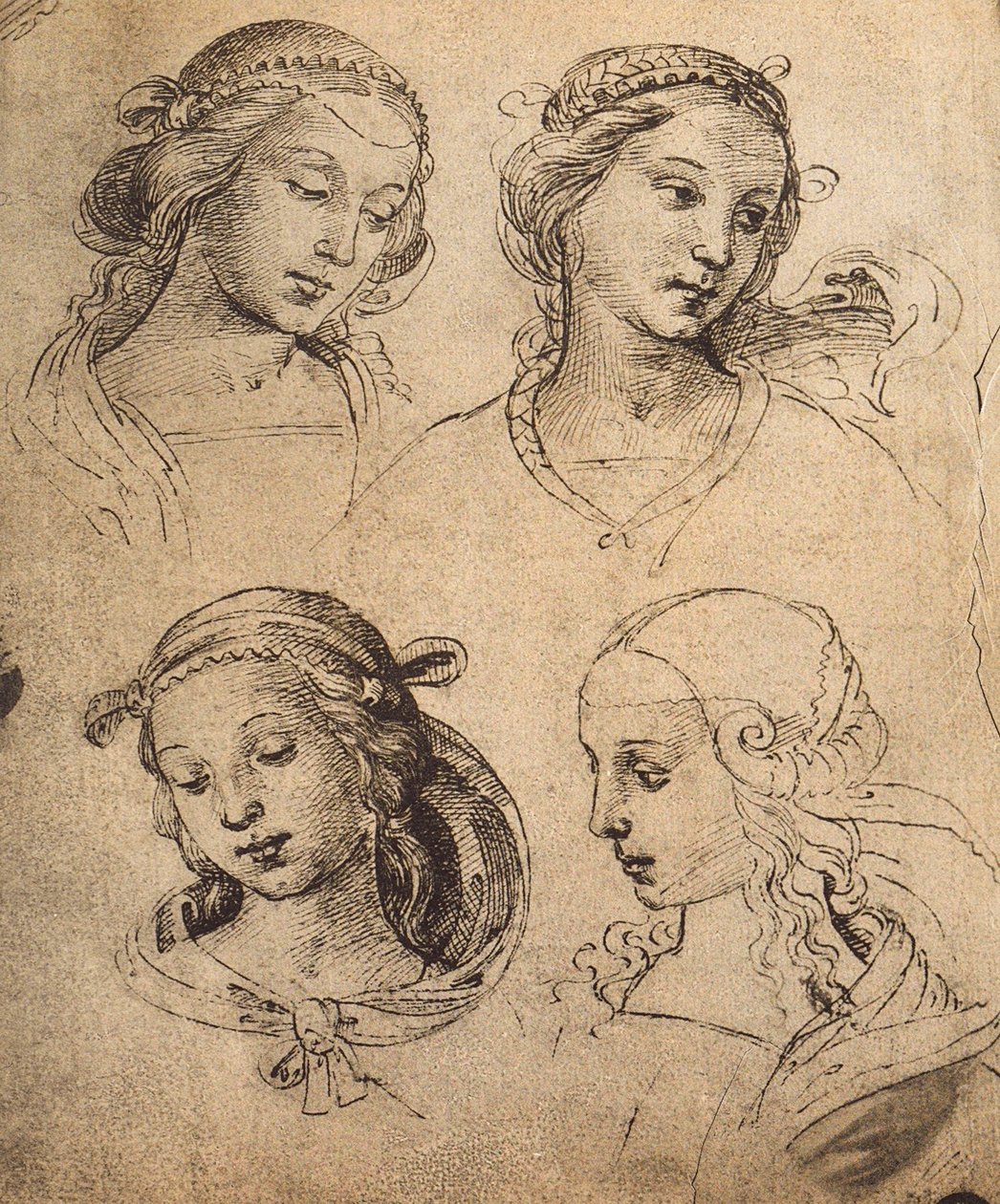 دراسة أربع وجوه أنثوية ؛ رسم رافائيل. غاليري ديل أكاديميسيا ، البندقية بواسطة رافايللو سانزيو رافائيل