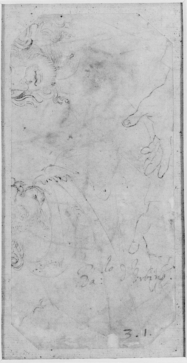فيرسو: رسومات لرأسين وزوجين من اليدين ، WA1846.167 (قلم وحبر بني على ورق أبيض) بواسطة رافايللو سانزيو رافائيل
