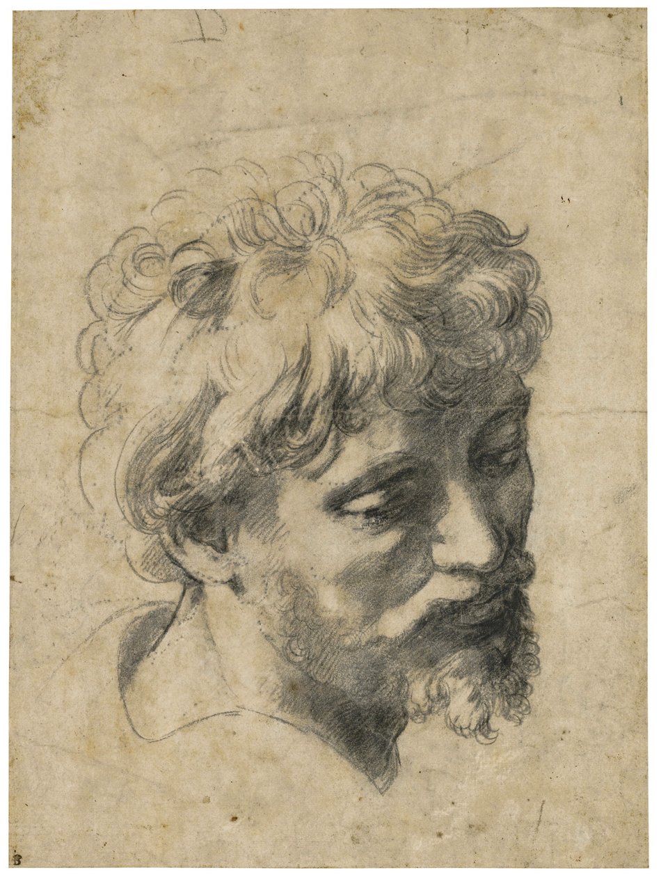 "Portrait de jeune apostle" (رأس الرسول الشاب) فحم على ورق بقلم رافائيل (Raffaello Sanzio) (1483-1520) مجموعة خاصة بواسطة رافائيل