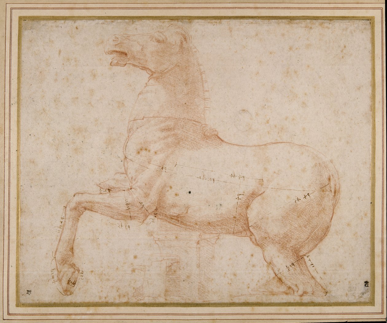 Study of a horse (pen & ink and pencil on paper) بواسطة رافائيل