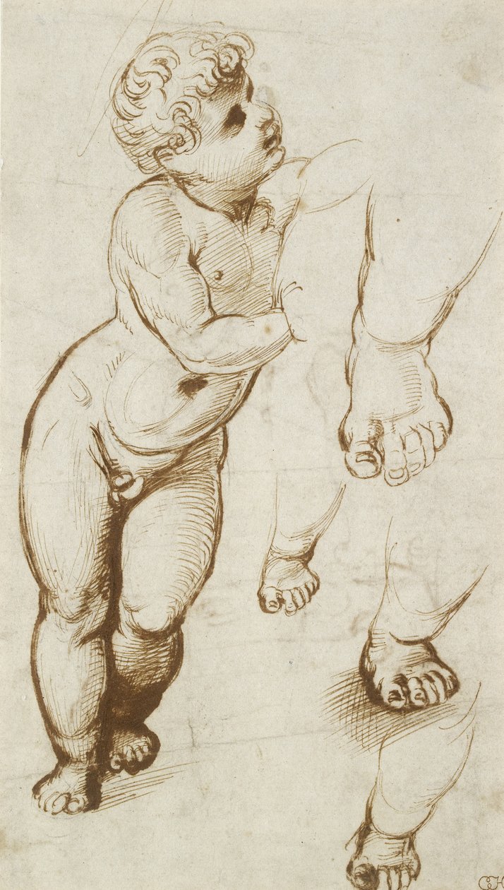 The Infant Christ and other Studies (pen and dark-brown ink over preliminary indications in leadpoint, on white paper) بواسطة رافائيل
