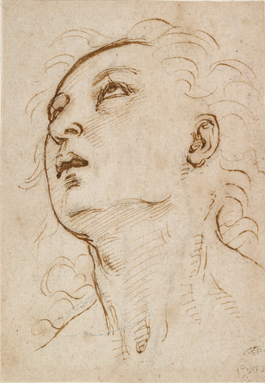 رأس شاب يحدق لأعلى ، c1497-c1504 بواسطة رافائيل