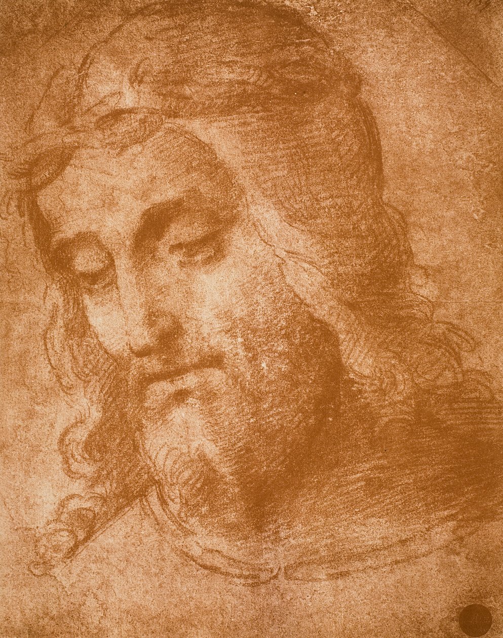 ادرس وجه الفادي ، رسم رافائيل. غاليري ديل أكاديميسيا ، البندقية بواسطة رافايللو سانزيو رافائيل