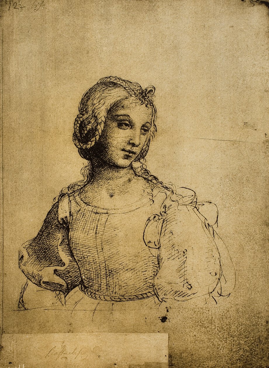دراسة المرأة ؛ رسم رافائيل. غاليري ديل أكاديميسيا ، البندقية بواسطة رافايللو سانزيو رافائيل