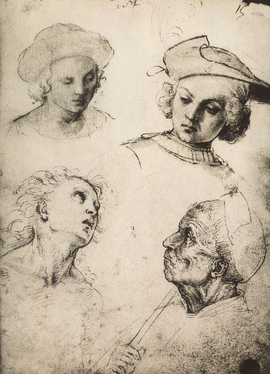 دراسة أربعة وجوه للذكور. رسم رافائيل. غاليري ديل أكاديميسيا ، البندقية بواسطة رافايللو سانزيو رافائيل
