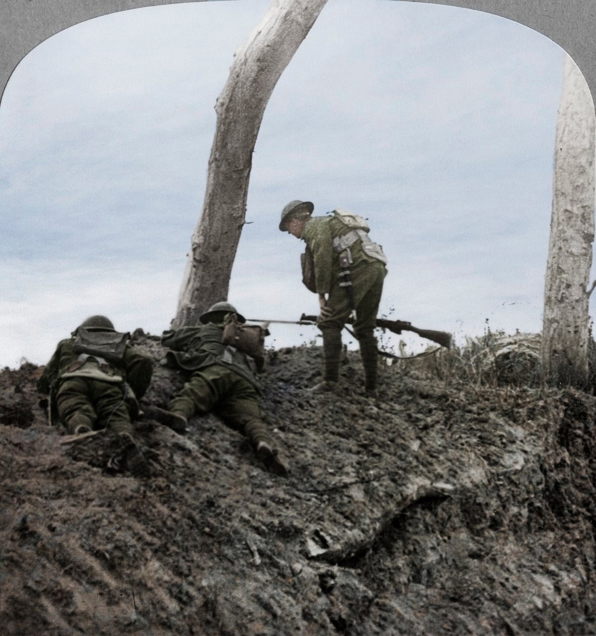 معركة Polygon Wood ، بالقرب من Ypres ، فلاندرز ، بلجيكا ، الحرب العالمية الأولى ، سبتمبر 1917 بواسطة واقعية يسافر الناشرين